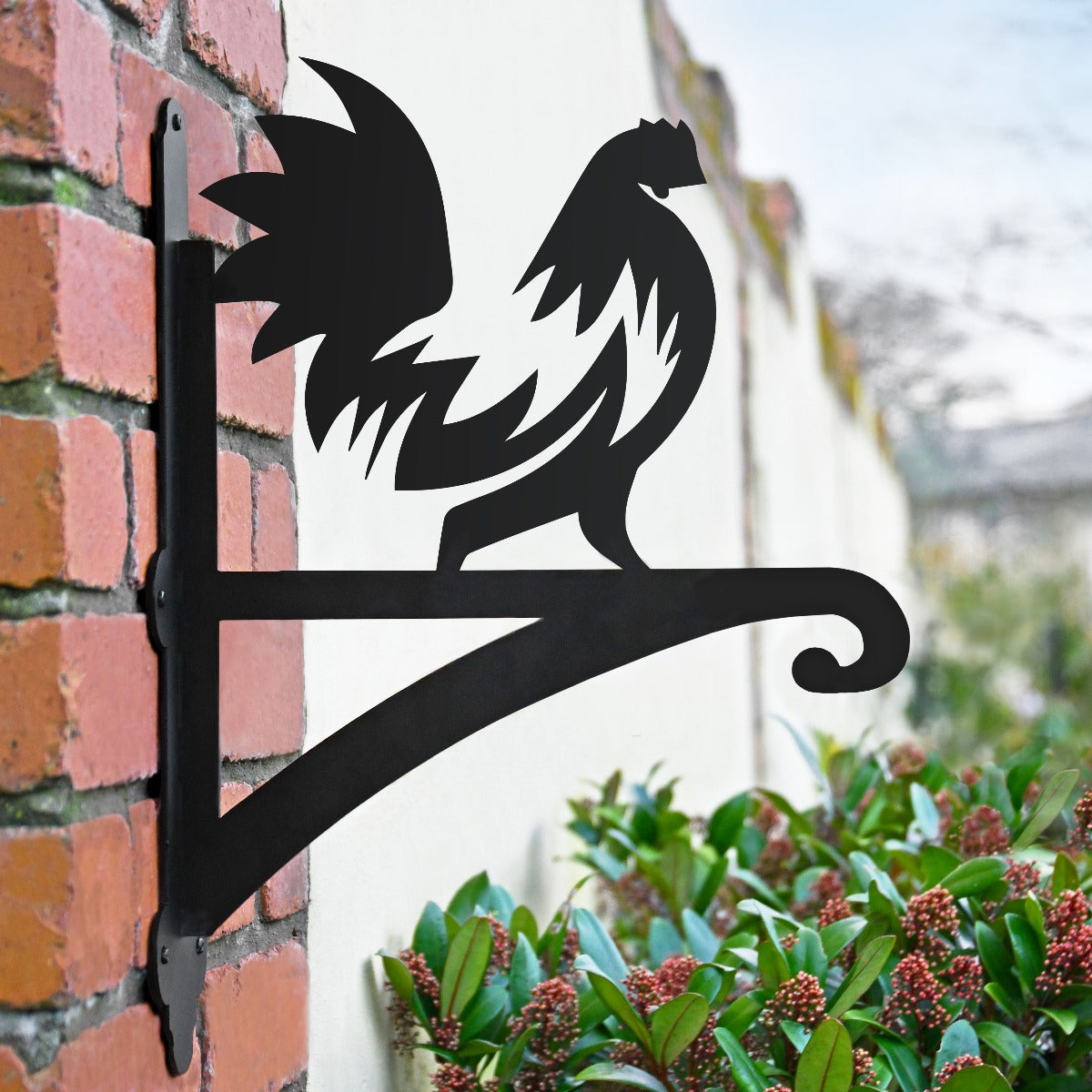 "Farm Yard Rooster" Garden Hanging Basket Bracket Finished In Black