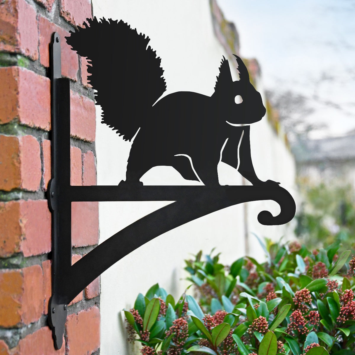 "Red Squirrel" Garden Hanging Basket Bracket In Situ