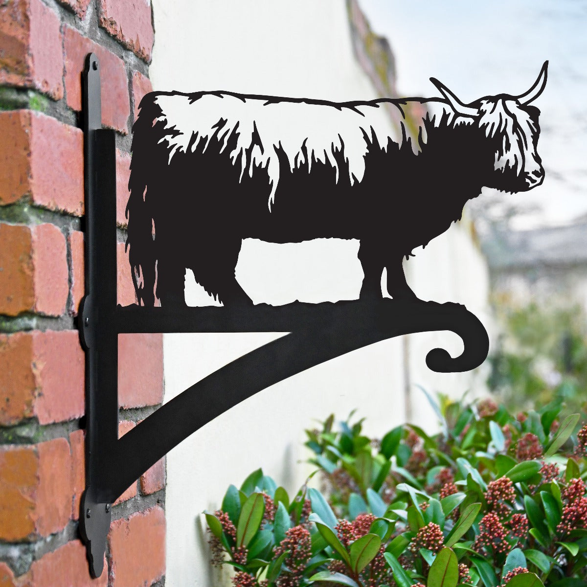 "Highland Cow" Garden Hanging Basket Bracket Finished In Black