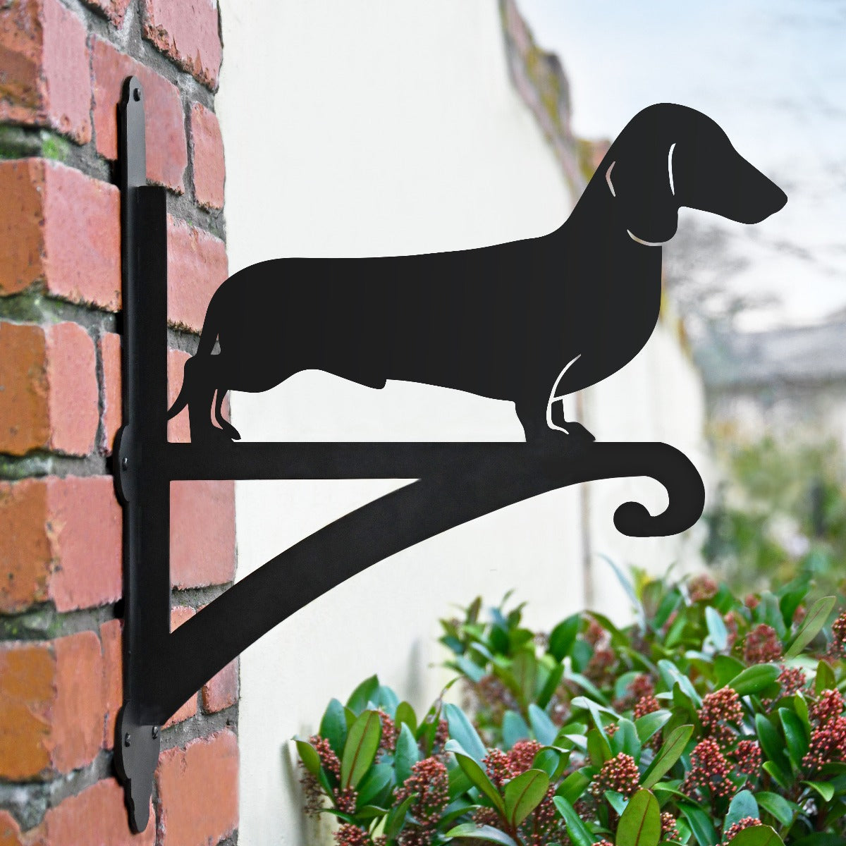 "Dachshund" Dog Garden Hanging Basket Bracket In Situ