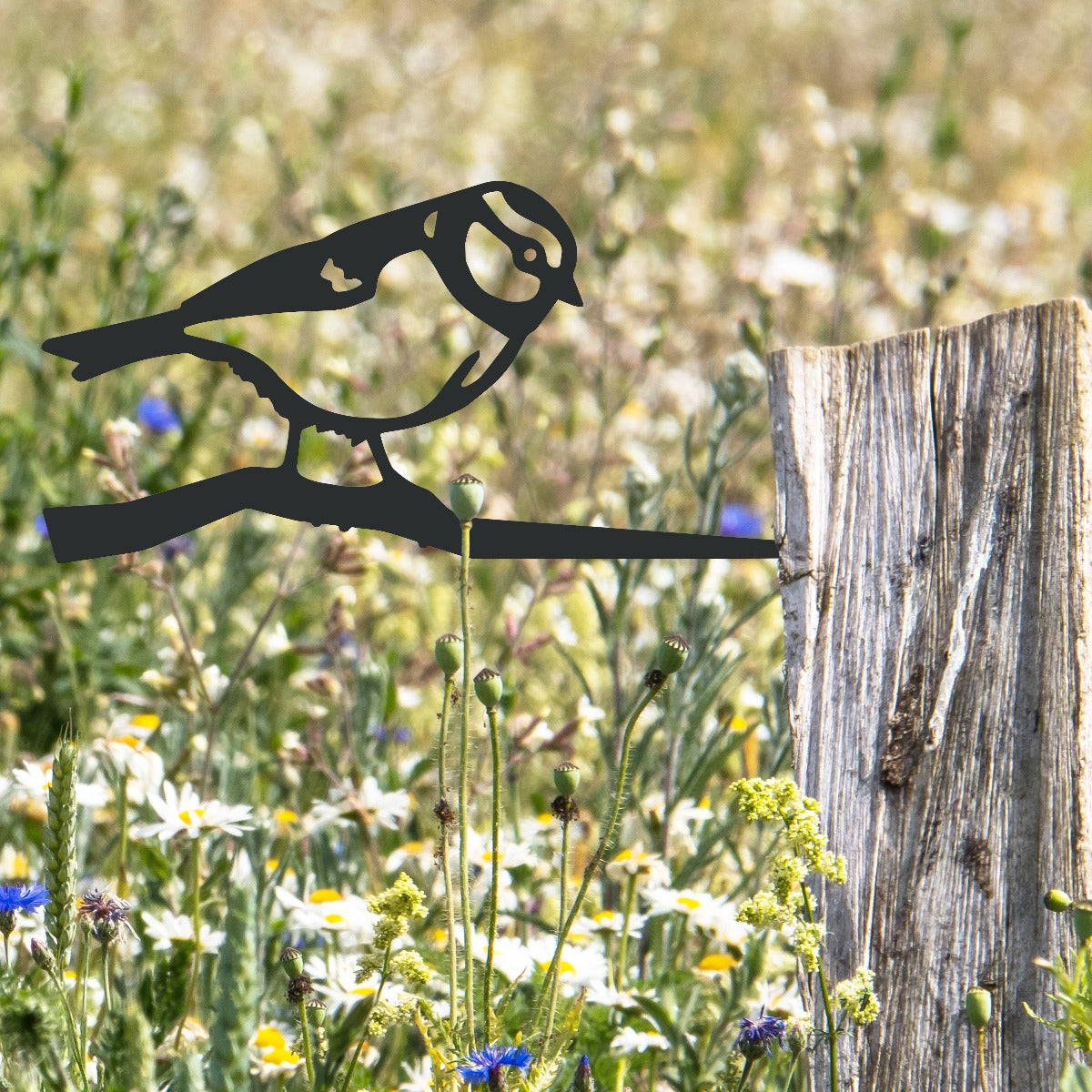 Blue Tit Garden Sheet Steel Tree Spike In Black