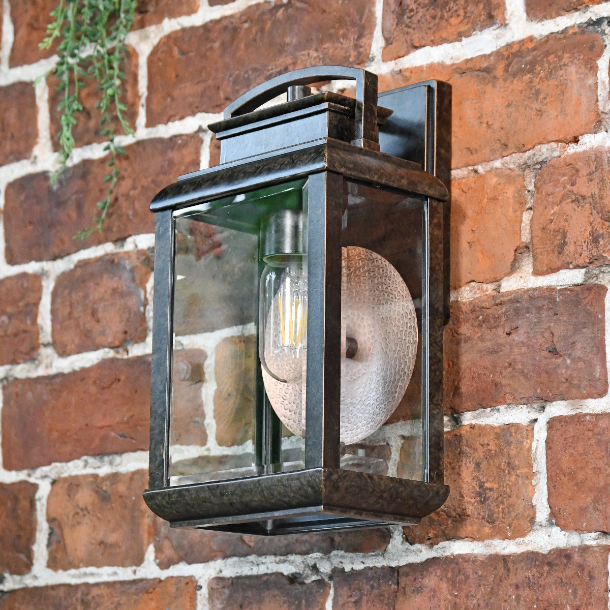 Antique Bronze Suspended Wall Light With Reflector Plate
