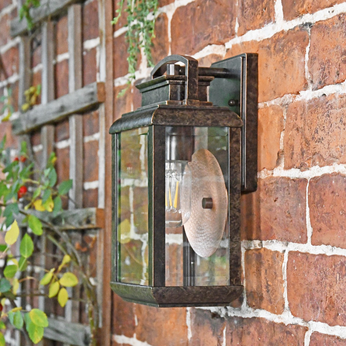 Antique Bronze Suspended Wall Light With Reflector Plate