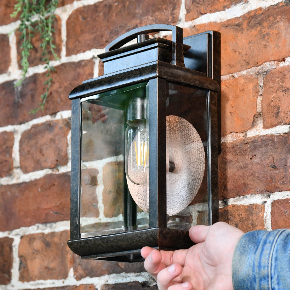 Antique Bronze Suspended Wall Light With Reflector Plate