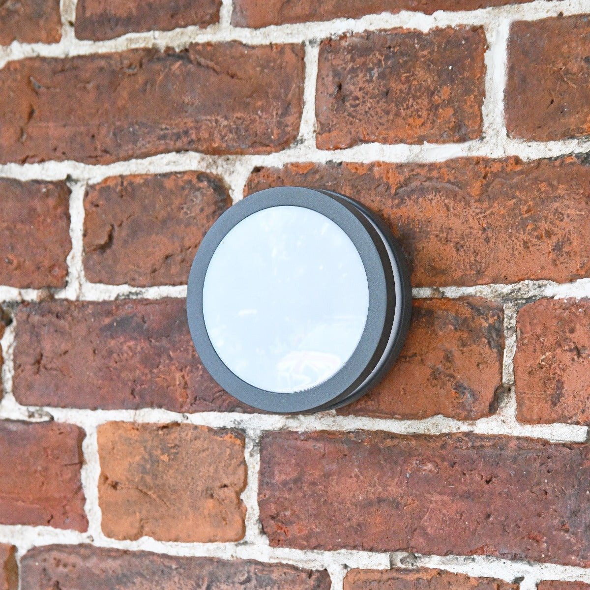 Modern Circular Garden Steps Wall Light