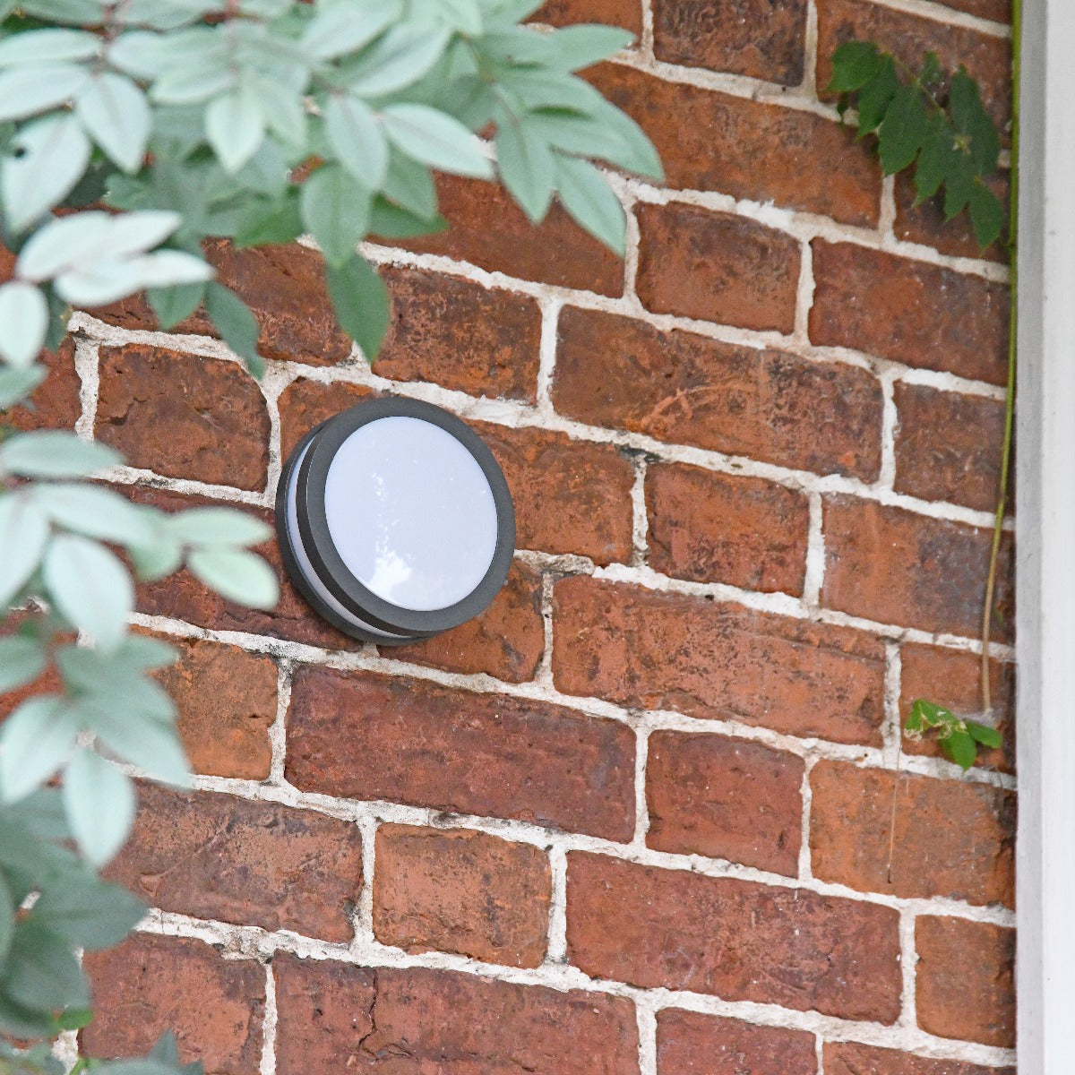 Modern Circular Garden Steps Wall Light