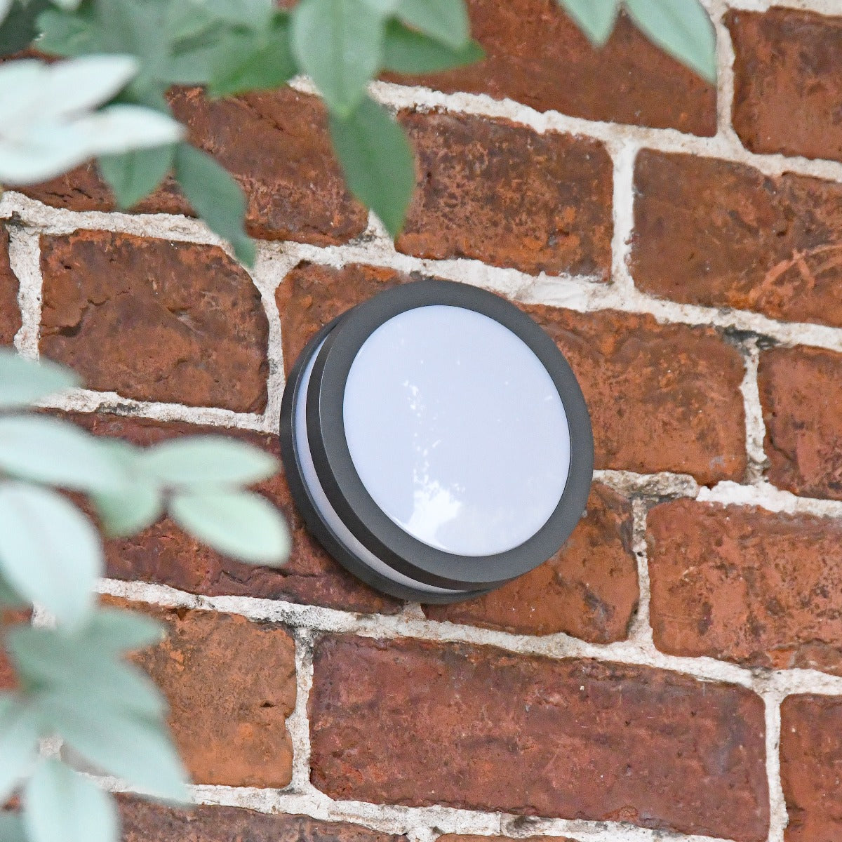 Modern Circular Garden Steps Wall Light