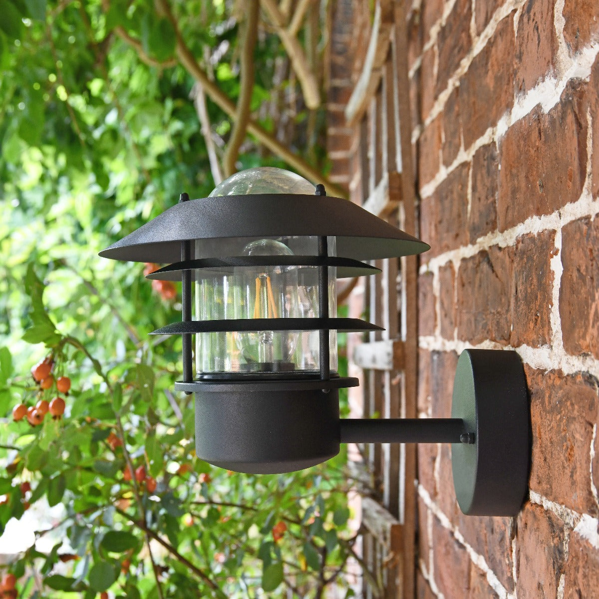Modern Black Wall Mounted Light