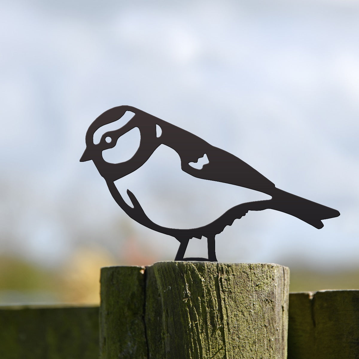 Blue Tit Garden Sheet Steel Fence Topper In Black