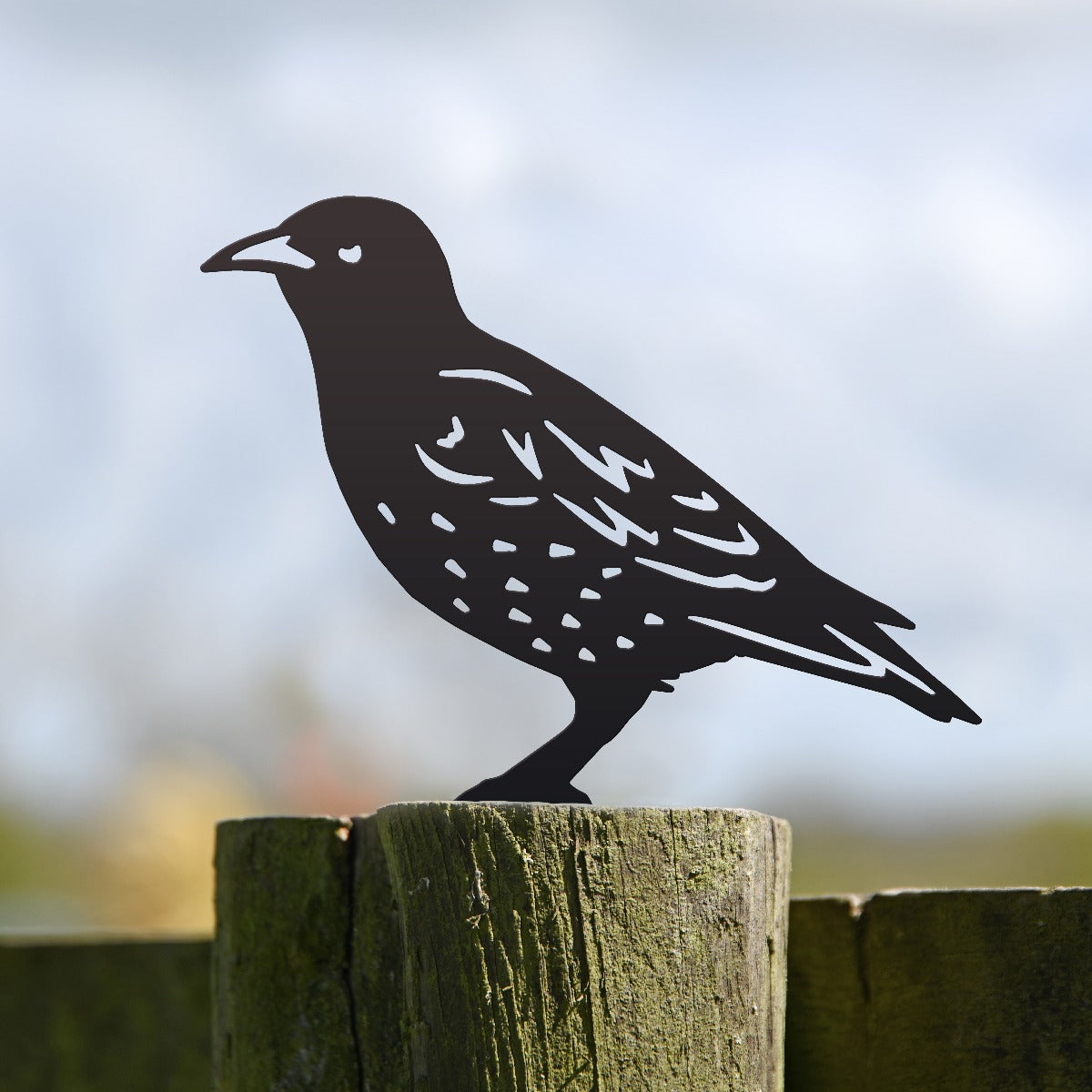 Starling Garden Sheet Steel Fence Topper In Black