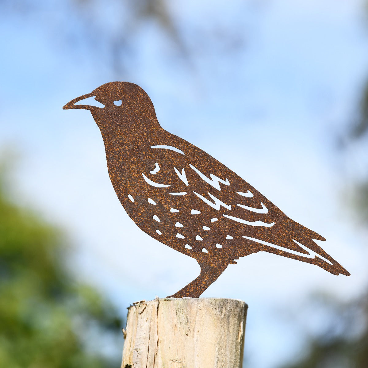 Starling Garden Sheet Steel Fence Topper In Rustic