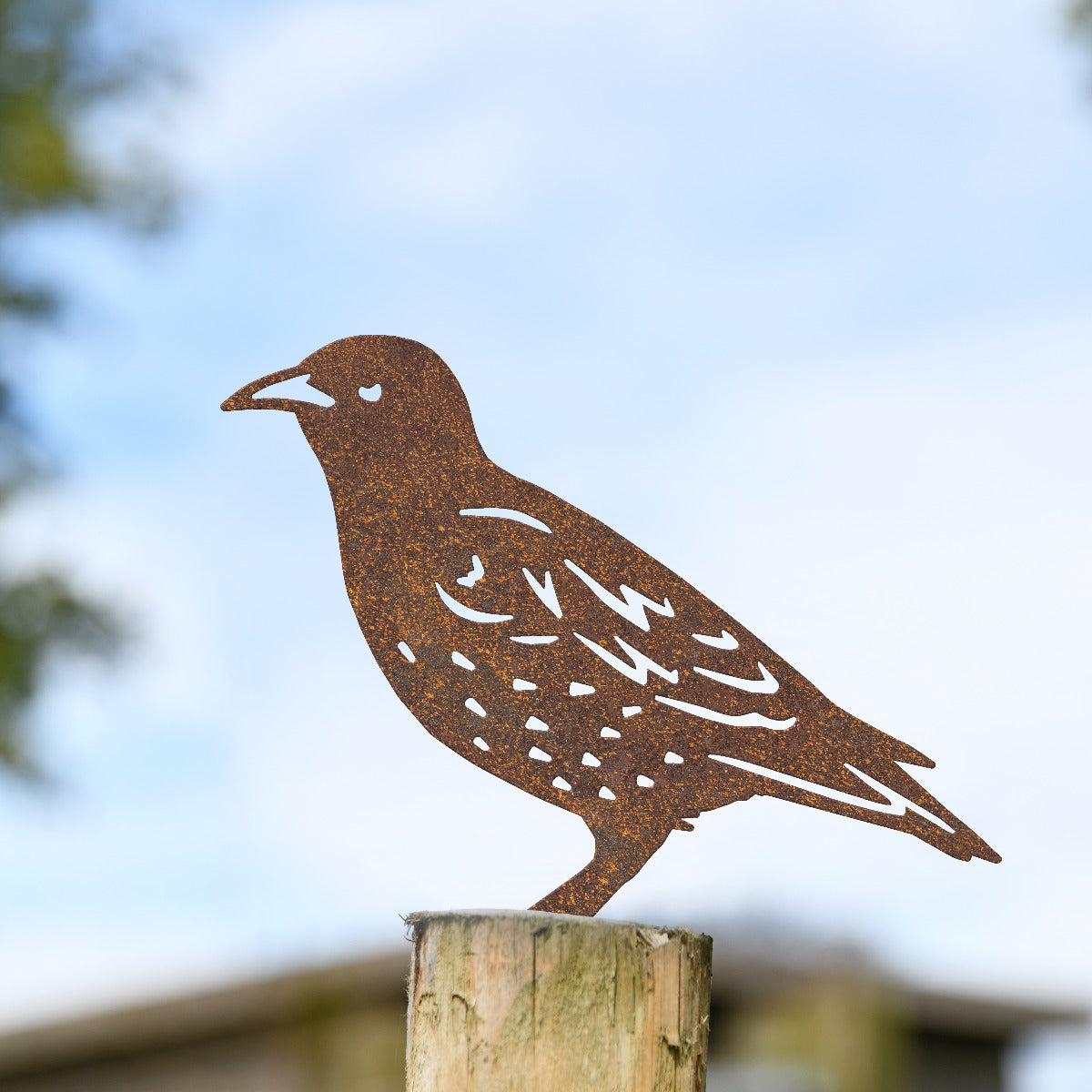 Starling Garden Sheet Steel Fence Topper In Rustic