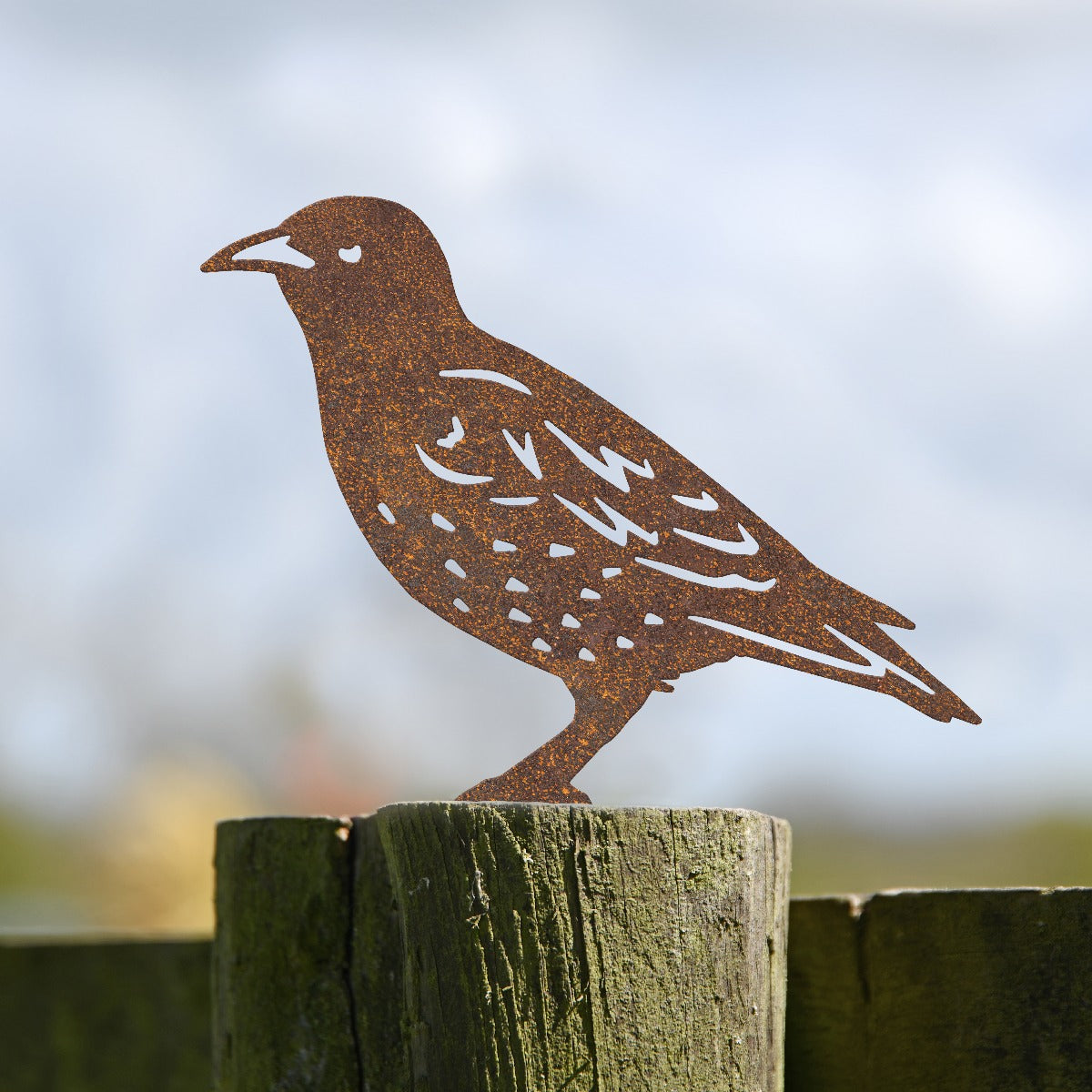 Starling Garden Sheet Steel Fence Topper In Rustic