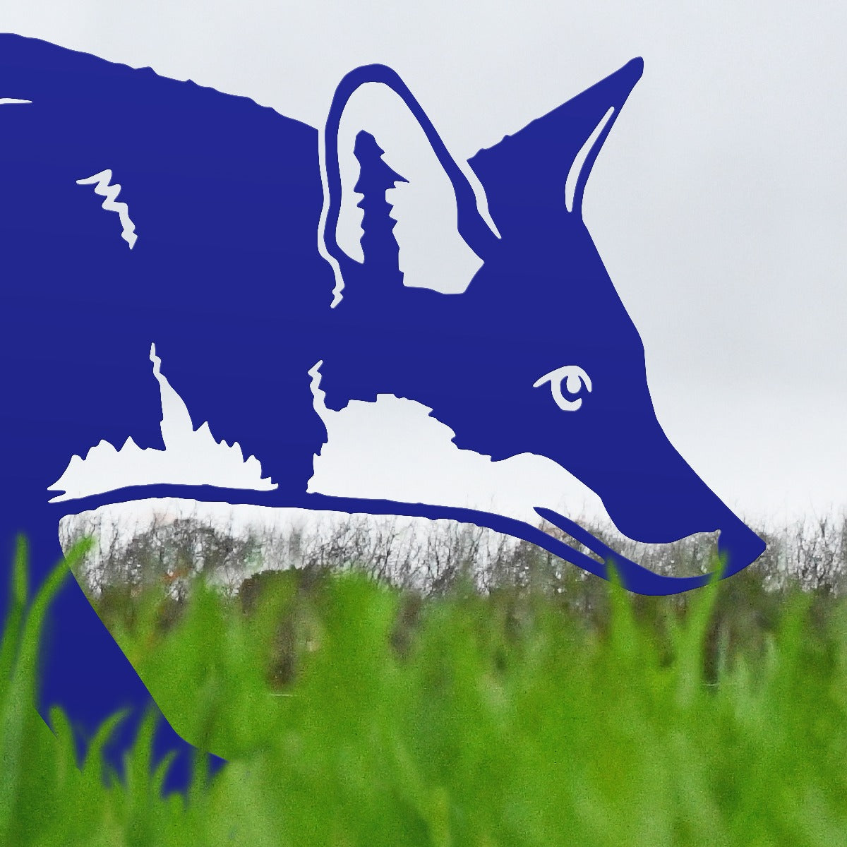 Close Up Of Fox Garden Sheet Steel Silhouette In Blue
