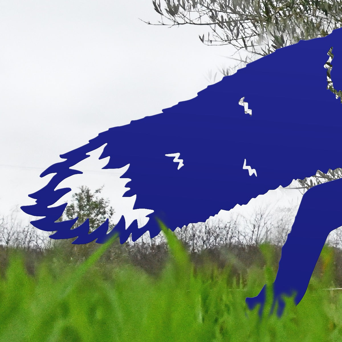 Close Up Of Fox Garden Steel Silhouette In Blue