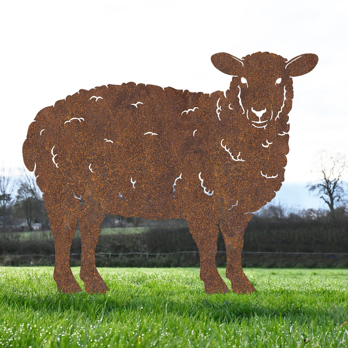 Curly Sheep Garden Sheet Steel Silhouette In Rustic