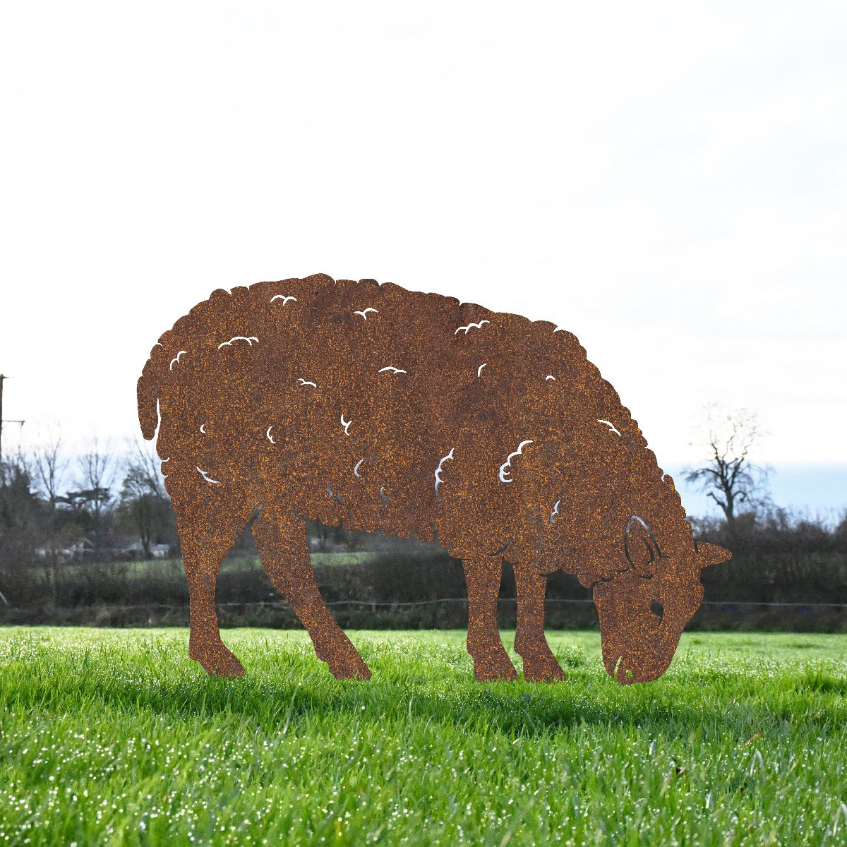 Feeding Ewe Sheep Garden Sheet Steel Silhouette In Rustic