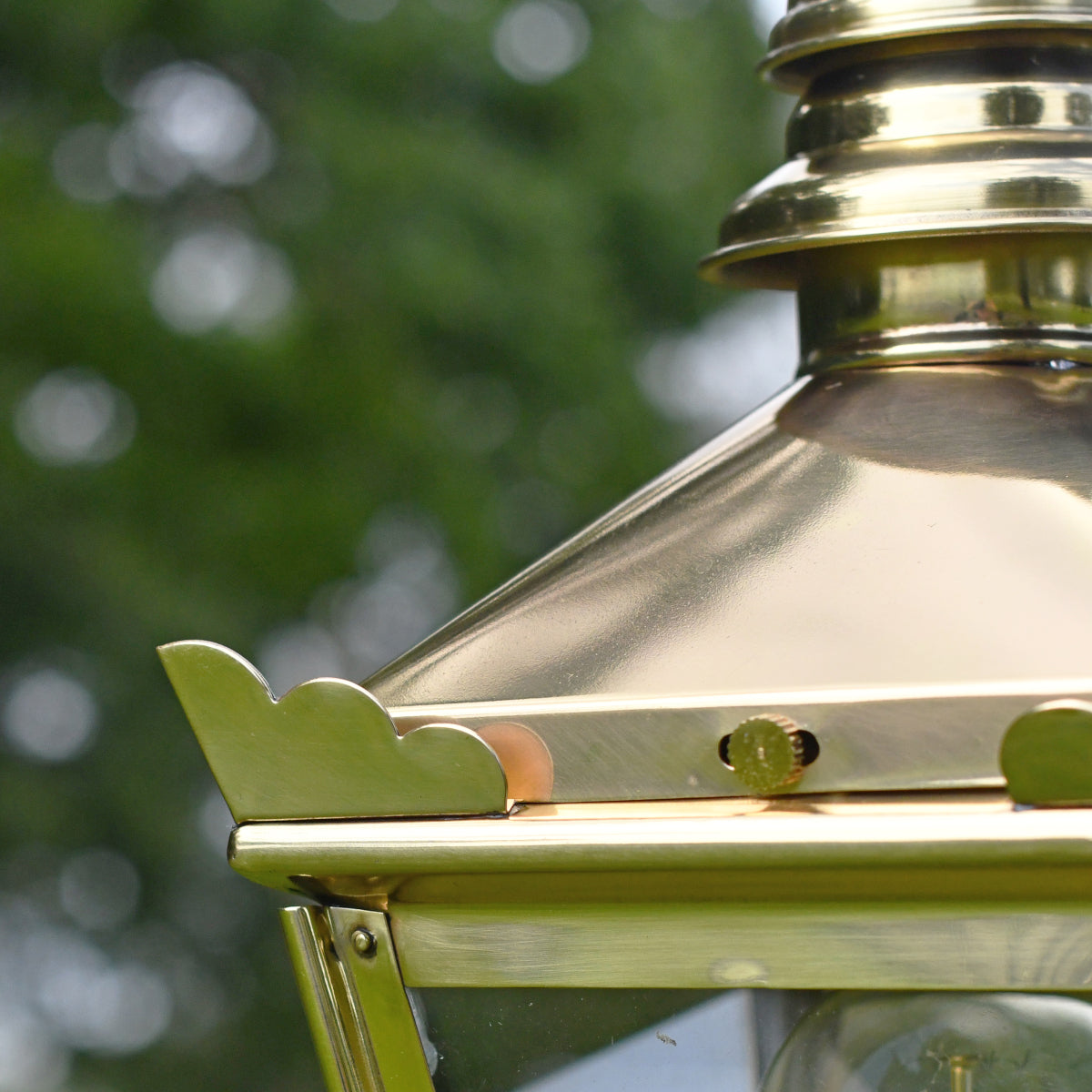 Magnified view of the scaloped edges