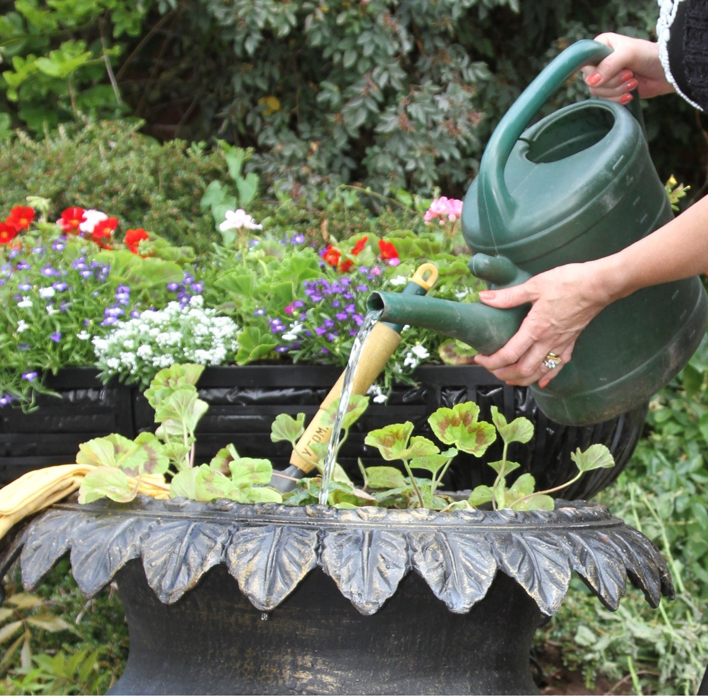 watering can and planter