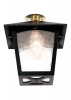 Black and Brass Semi Flush Porch Lantern