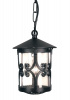 Black Ornate Chain Porch Lantern