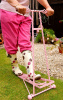 Pink boot jack in the garden